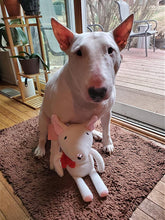 Load image into Gallery viewer, Image of a cutest bull terrier with bull terrier plush toy