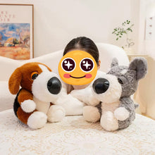 Load image into Gallery viewer, Malamute Plush Toy - Cutest Sitting Button Nose Alaskan Malamute