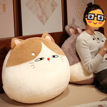 Load image into Gallery viewer, Calico Cat Pillow - Curious Calico Cat Plush Pillow-3