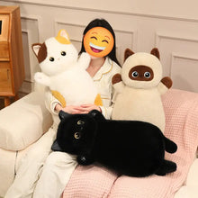 Load image into Gallery viewer, Calico Cat Pillow - Kawaii Fat Cat Plush Toy-13