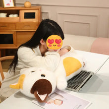 Load image into Gallery viewer, Calico Cat Pillow - Kawaii Fat Cat Plush Toy-11