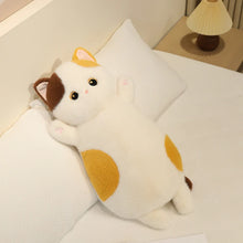 Load image into Gallery viewer, Calico Cat Pillow - Kawaii Fat Cat Plush Toy-Calico cat-65cm-1