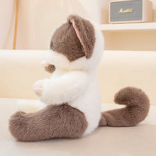 Load image into Gallery viewer, Calico Cat Plush Toy - Adorable Sitting Design-4