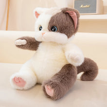 Load image into Gallery viewer, Calico Cat Plush Toy - Adorable Sitting Design-5
