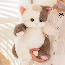 Load image into Gallery viewer, Calico Cat Plush Toy - Adorable Sitting Design-8