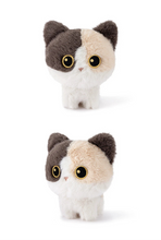 Load image into Gallery viewer, Calico Cat Soft Toy - Small - Pocket Purr Mini Plush Toy-4
