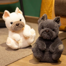 Load image into Gallery viewer, Carry Me White Black French Bulldog Stuffed Animal Plush Toys-2