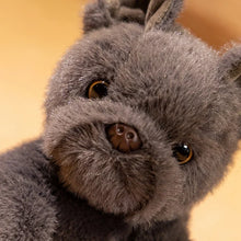 Load image into Gallery viewer, Carry Me White Black French Bulldog Stuffed Animal Plush Toys-6