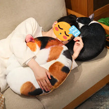 Load image into Gallery viewer, Realistic Sleeping Black and White Cat Pillow - Cosy Curled-Up Cutie-Home Decor-Black and White Cat,Home Decor,Pillows,Stuffed Animal-12