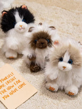 Load image into Gallery viewer, Realistic Chocolate Ragdoll Cat Soft Toy - Sitting with Blue Eyes-Stuffed Animals-Cat Memorial Gifts,Cats,Ragdoll Cat,Stuffed Animal-8