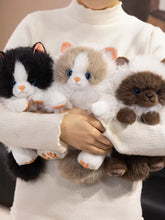 Load image into Gallery viewer, Realistic Seal Point Ragdoll Cat Plush - Sitting with Blue Eyes-Stuffed Animals-Cat Memorial Gifts,Cats,Ragdoll Cat,Stuffed Animal-4