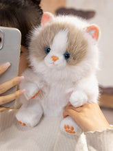 Load image into Gallery viewer, Realistic Seal Point Ragdoll Cat Plush - Sitting with Blue Eyes-Stuffed Animals-Cat Memorial Gifts,Cats,Ragdoll Cat,Stuffed Animal-5