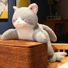 Load image into Gallery viewer, Cat Shark Plush - Grey and White Shark Tail Cat Plush Toy-23