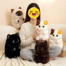 Load image into Gallery viewer, Siamese Cat Soft Plush Toy - Adorable Round Furry Sausage-Stuffed Animals-6