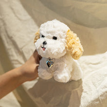 Load image into Gallery viewer, Cavapoo Soft Toy - Small - Silver Collar Sitting Cream White Cavapoo Plush Toy-Puppy-13cm-1