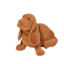 Load image into Gallery viewer, Charming Basset Hound Jewelry Box-5