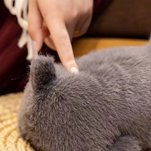 Load image into Gallery viewer, Charming Black French Bulldog Stuffed Animal Plush Toy-10