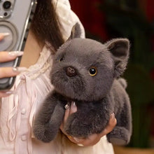 Load image into Gallery viewer, Charming Black French Bulldog Stuffed Animal Plush Toy-5