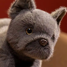 Load image into Gallery viewer, Charming blue French Bulldog Stuffed Animal Plush Toy-4