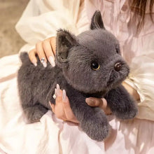 Load image into Gallery viewer, Charming blue French Bulldog Stuffed Animal Plush Toy-8
