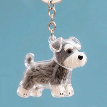 Load image into Gallery viewer, Charming Schnauzer Transparent Acrylic Keychain / Pendant-Accessories-Accessories,Dog Dad Gifts,Dog Memorial Gifts,Dog Mom Gifts,Keychain,Schnauzer-Standing Schnauzer-1