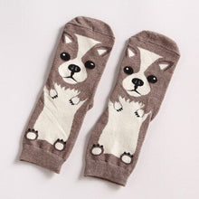 Load image into Gallery viewer, Image of a pair of Chihuahua socks on a white background