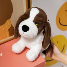 Load image into Gallery viewer, Chocolate and White Beagle Plush Toy - Long Eared Sweetheart-big ear dog sy-about 25cm-1