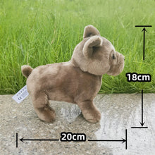 Load image into Gallery viewer, Chocolate Brown / Taupe French Bulldog Stuffed Animal Plush Toy-02-CN (Origin)-1