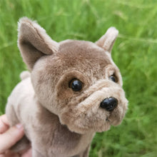 Load image into Gallery viewer, Chocolate Brown / Taupe French Bulldog Stuffed Animal Plush Toy-4