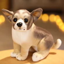 Load image into Gallery viewer, Small Lifelike Chocolate and Tan Chihuahua Stuffed Animal Plush Toys - Sitting and Standing-Soft Toy-Chihuahua,Dog Memorial Gifts,Stuffed Animal-Sitting-2