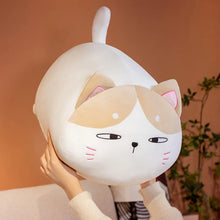Load image into Gallery viewer, Chonky Fat Cat Plush Toy - Suspicious Calico Cat-2