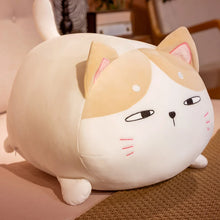 Load image into Gallery viewer, Chonky Fat Cat Plush Toy - Suspicious Calico Cat-3