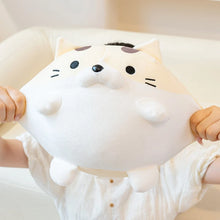 Load image into Gallery viewer, Chonky Fat Cream Striped Tabby Cat Soft Plush Toy-12