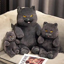 Load image into Gallery viewer, Chonky Fat Sitting British Shorthair Plush Toy-Cats-2