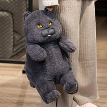 Load image into Gallery viewer, Chonky Fat Sitting British Shorthair Plush Toy-Cats-3