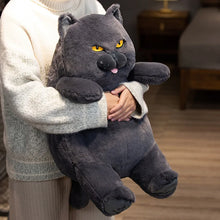 Load image into Gallery viewer, Chonky Fat Sitting British Shorthair Plush Toy-Cats-9