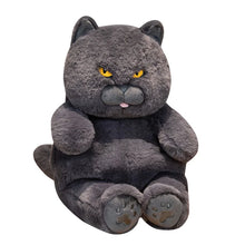 Load image into Gallery viewer, Chonky Fat Sitting British Shorthair Plush Toy-Cats-shorthair YLYQ-about 30cm-12