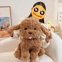 Load image into Gallery viewer, Cockapoo Plush Toy - White / Cream, Apricot / Red Colors - Red Collar with Double Bell Design-Stuffed Animals-15