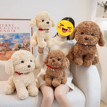 Load image into Gallery viewer, Cockapoo Plush Toy - White / Cream, Apricot / Red Colors - Red Collar with Double Bell Design-Stuffed Animals-20