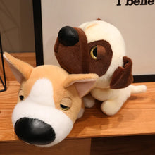 Load image into Gallery viewer, Corgi Plush Toy - Sleepy Big Nose Baby-13
