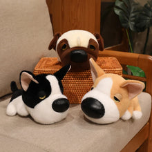 Load image into Gallery viewer, Corgi Plush Toy - Sleepy Big Nose Baby-3