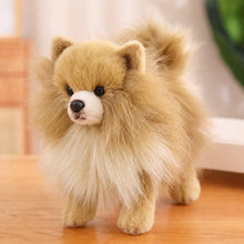 Load image into Gallery viewer, Fluffy Pet Me Pomeranian Stuffed Animal Plush Toys-Stuffed Animals-Dog Memorial Gifts,Pomeranian,Stuffed Animal-Cream Sable-4