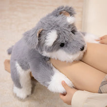 Load image into Gallery viewer, Cuddle-Ready Furry Sitting Schnauzer Plush Toy-12