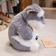 Load image into Gallery viewer, Cuddle-Ready Furry Sitting Schnauzer Plush Toy-4