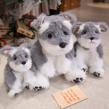 Load image into Gallery viewer, Cuddle-Ready Furry Sitting Schnauzer Plush Toy-6