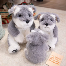 Load image into Gallery viewer, Cuddle-Ready Furry Sitting Schnauzer Plush Toy-8