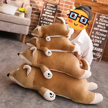 Load image into Gallery viewer, Cuddly Tan and White Shiba Inu Stuffed Animal Plush Toy-Stuffed Animals-Dog Memorial Gifts,Shiba Inu,Stuffed Animal-11