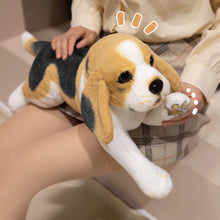Load image into Gallery viewer, Cuddly Tri-Color Beagle Stuffed Animal Plush Toy-11