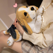 Load image into Gallery viewer, Cuddly Tri-Color Beagle Stuffed Animal Plush Toy-12