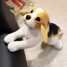 Load image into Gallery viewer, Cuddly Tri-Color Beagle Stuffed Animal Plush Toy-14